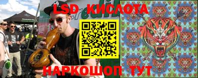 прущие грибы Пенза