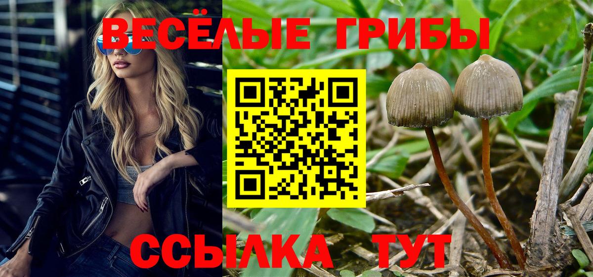 A PVP СОЛЬ кристаллы  NBOMe  Меф МЯУ МЯУ   Метадон  ГАШ  Рассказово  Вход с VPN 
